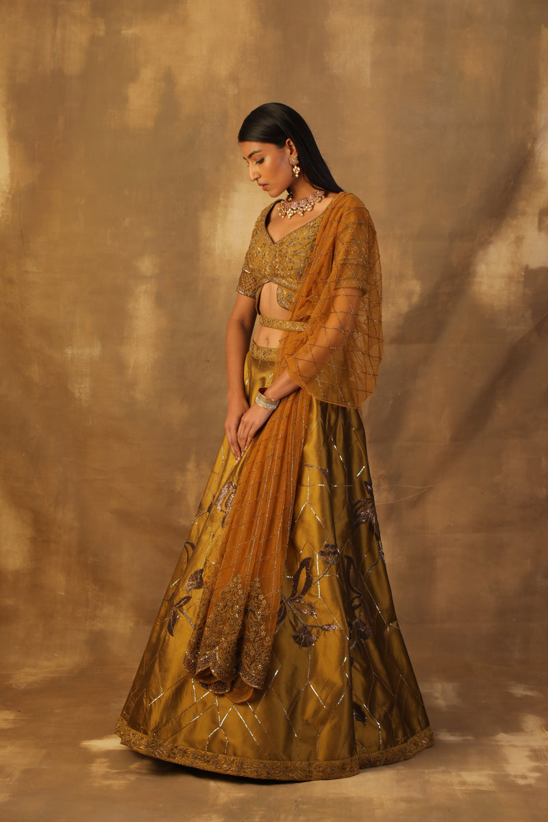 Mustard Net Lehenga Set And Net Dupatta With Readymade Blouse main image 0