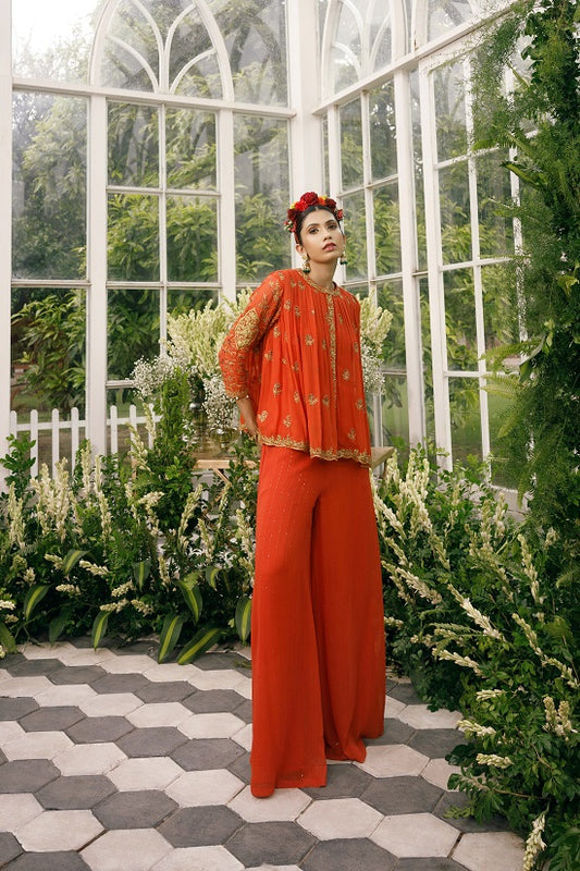Georgette top with sequin embroidered georgette palazo