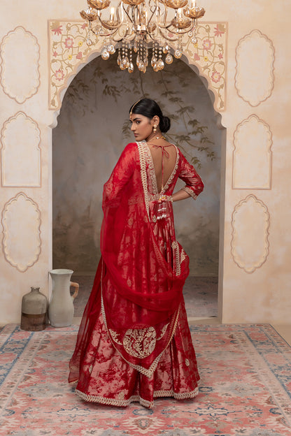 Red jacquard organza anarkali set