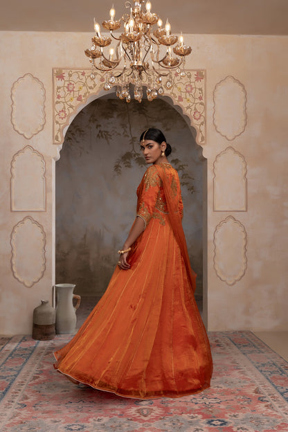 Silk tissue anarkali set