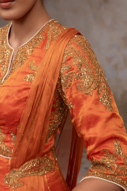 Silk tissue anarkali set
