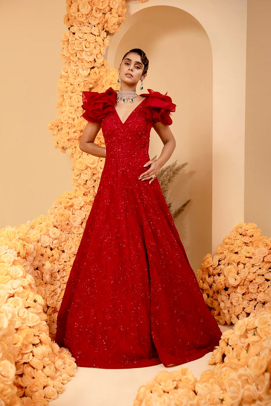 Organza blood red colour gown with embroidered body