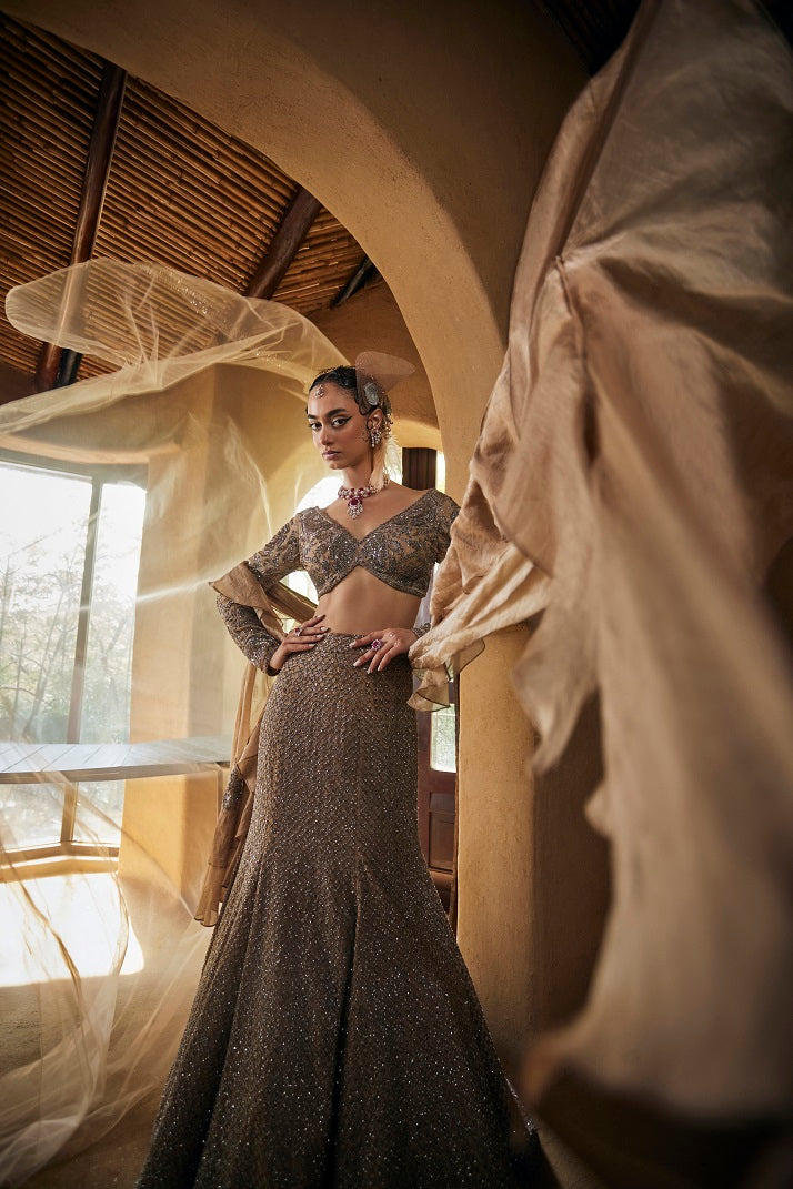 Mouse grey silk tissue fishcut lehnga with blouseand frill dupatta