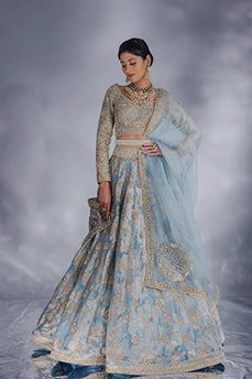 Powder blue &nbsp;Jacquard zari organza lehenga set