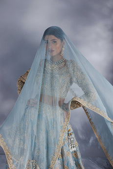 Powder blue &nbsp;Jacquard zari organza lehenga set