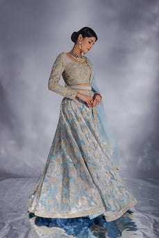 Powder blue &nbsp;Jacquard zari organza lehenga set