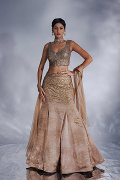 Hand-woven chanderi silk tissue fish cut lehenga set