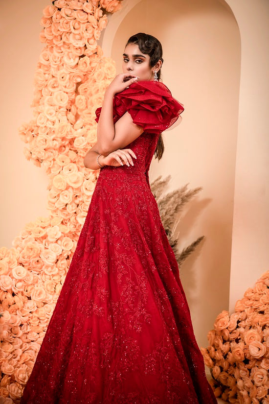 Organza blood red colour gown with embroidered body