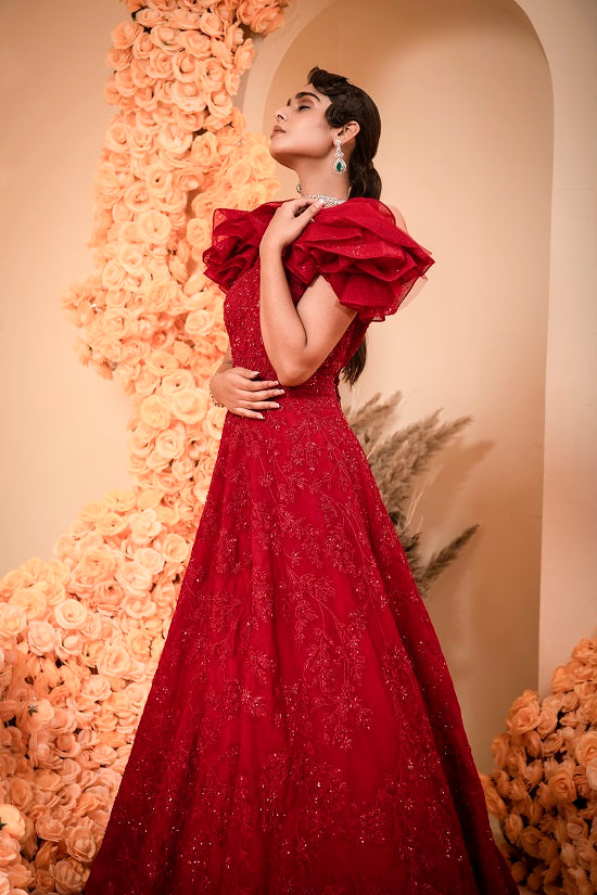 Organza blood red colour gown with embroidered body