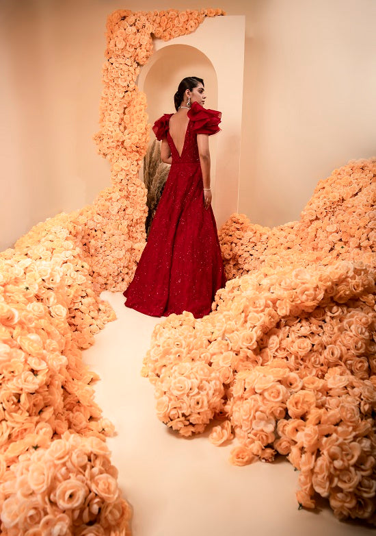 Organza blood red colour gown with embroidered body