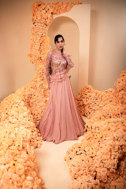 Organza georgette rose gold color gown with embroidered body