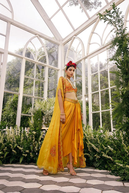 Silk blouse with irish satin skirt and organza cape